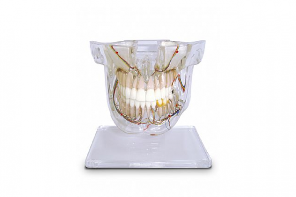 cirurgia34E4927A-81DC-F59D-E62C-F2F573FE36D4.png